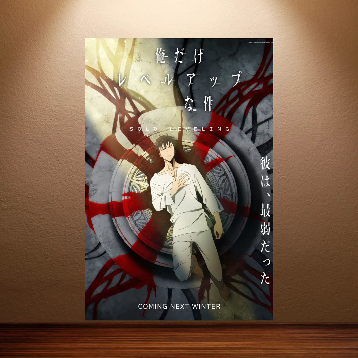 Solo Leveling Poster