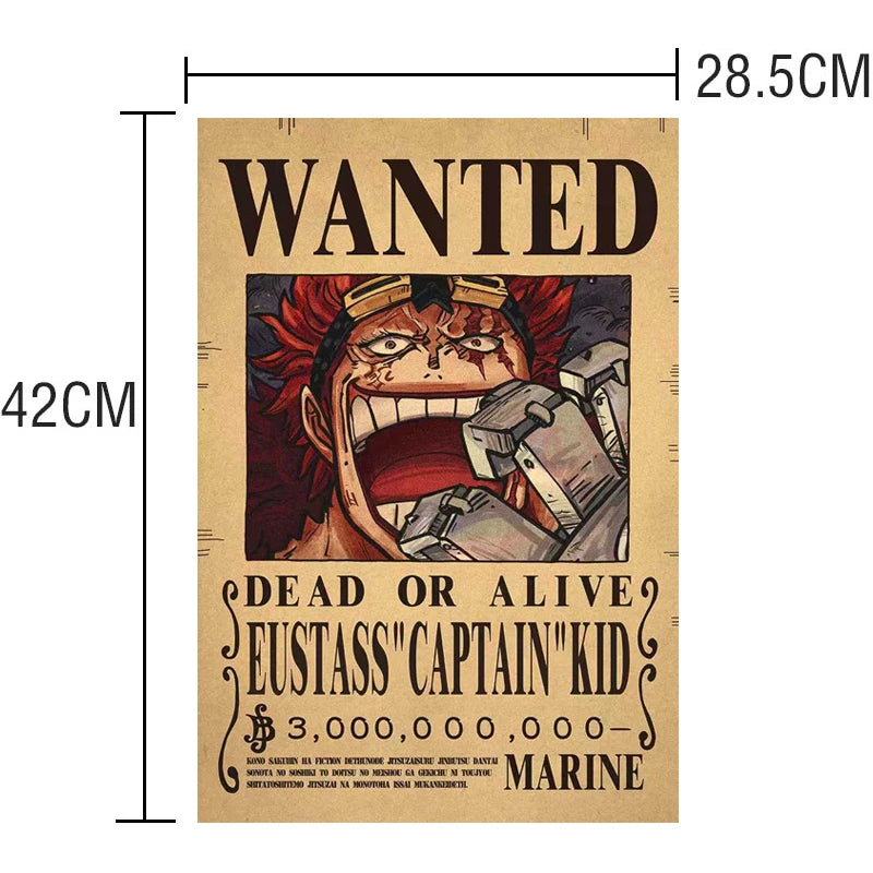 One Piece Wanted Poster